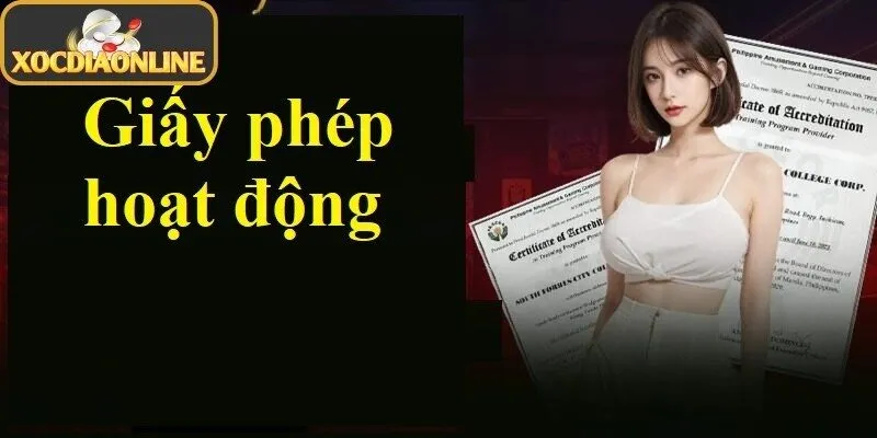 Hệ thống máy chủ, bảo mật, lưu trữ, kết nối vận hành ổn định