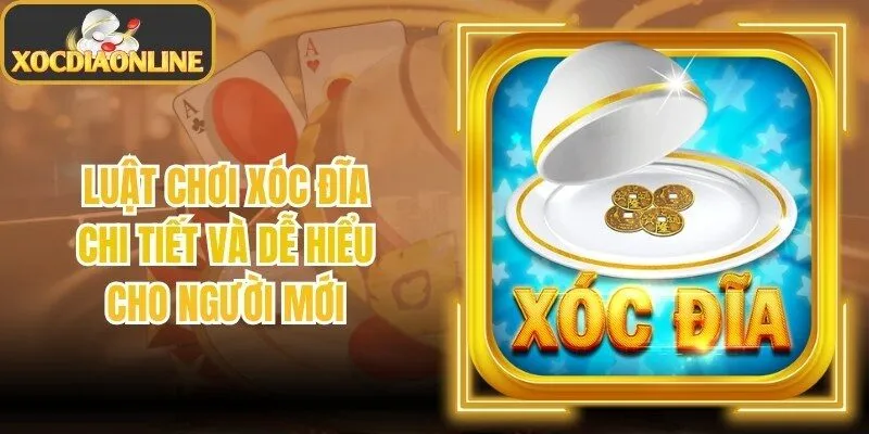 Luật Chơi Xóc Đĩa Chi Tiết Và Dễ Hiểu Cho Người Mới