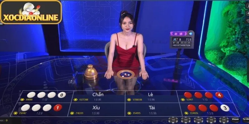 Một số thuật ngữ phổ biến