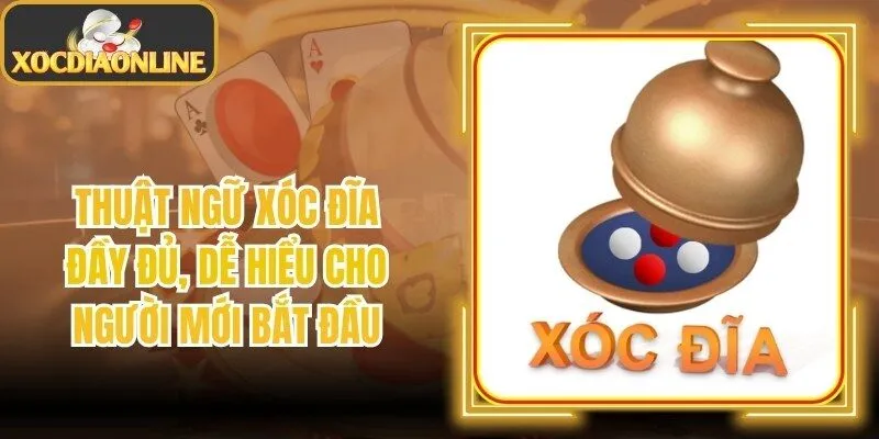 Thuật Ngữ Xóc Đĩa Đầy Đủ, Dễ Hiểu Cho Người Mới Bắt Đầu