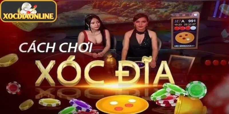 Tìm hiểu loại phần mềm can thiệp qua camera