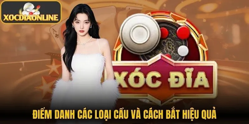 Điểm danh các loại cầu và cách bắt hiệu quả