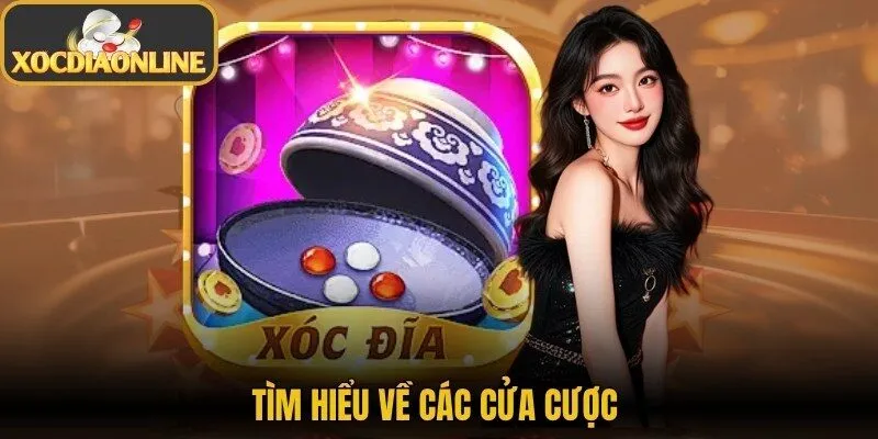 Tìm hiểu về các cửa cược 